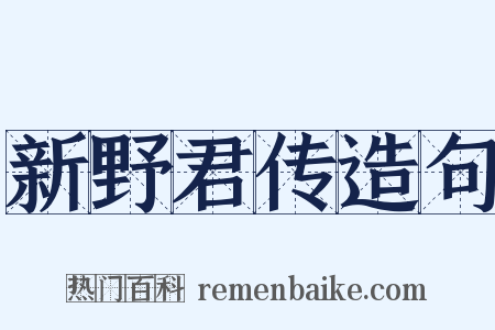 新野君传造句是什么意思的图片